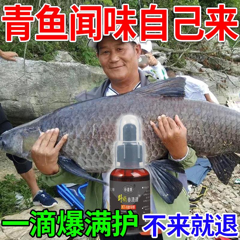 買1送2 !! 釣魚之神推薦KT-8激導醇釣魚液 1滴誘魂/3滴爆護   讓你✅快速聚魚✅久釣不散