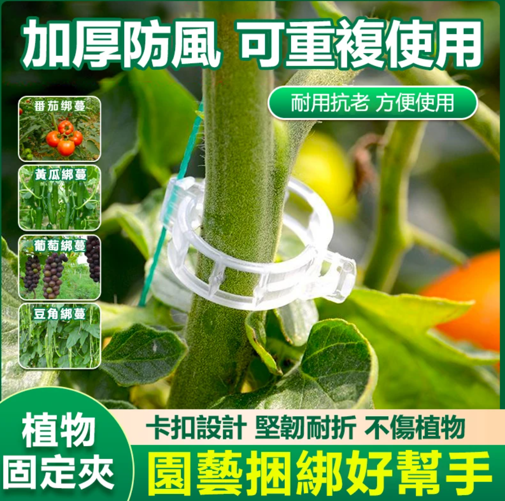 【綠植固定架】小東西大用處,不用在用繩綁了,菜園花園都能用,一卡一扣輕鬆固定梆枝,拆下還能重複使用